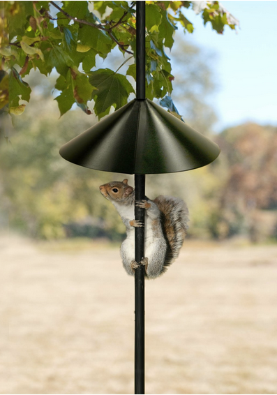 squirrel baffle