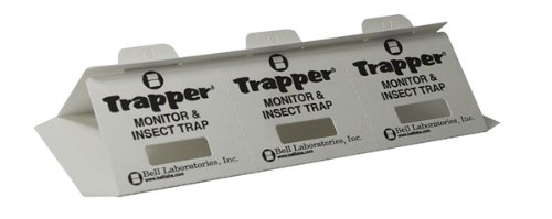 sticky cockroach trapp